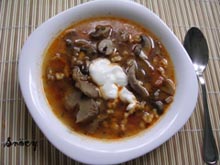 Hungarian mushroom soup